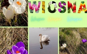 Pierwsze oznaki wiosny (1)