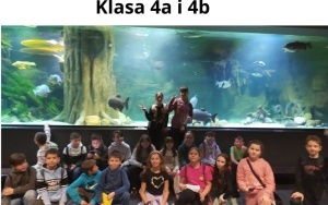 Żywa lekcja przyrody (4)