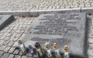 Muzeum w Auschwitz-Birkenau (2)