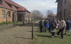 Muzeum w Auschwitz-Birkenau (1)