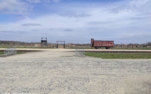 Muzeum w Auschwitz-Birkenau (2)