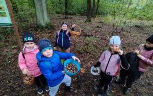 Uczniowie klas pierwszych i drugich na wycieczce do lasu w Książenicachch (11)