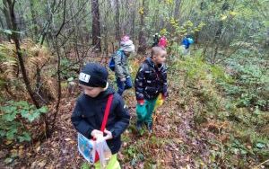 Uczniowie klas pierwszych i drugich na wycieczce do lasu w Książenicachch (2)