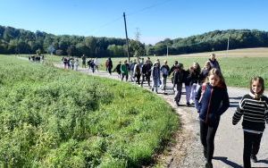 Ogrodzieniec i warsztaty przyrodnicze w ośrodku młodzieżowym w Smoleniu (3)