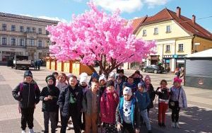 Uczniowie klasy 1a na wycieczce w Rybniku (1)
