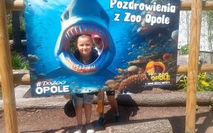 Uczniowie klas pierszych na wycieczce - ZOO Opole (2)