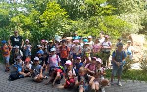 Uczniowie klas pierszych na wycieczce - ZOO Opole (1)