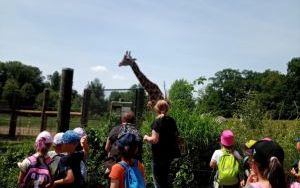 Uczniowie klas pierszych na wycieczce - ZOO Opole (1)
