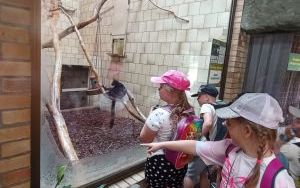 Uczniowie klas pierszych na wycieczce - ZOO Opole (8)