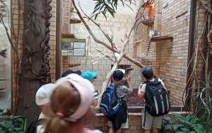 Uczniowie klas pierszych na wycieczce - ZOO Opole (7)