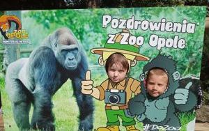 Uczniowie klas pierszych na wycieczce - ZOO Opole (4)