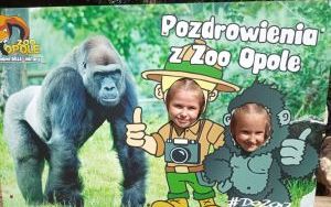 Uczniowie klas pierszych na wycieczce - ZOO Opole (3)
