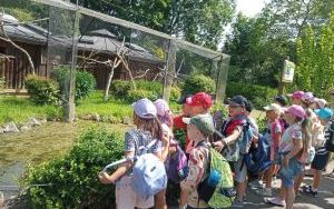 Uczniowie klas pierszych na wycieczce - ZOO Opole (2)