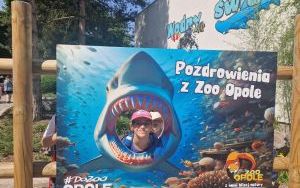 Uczniowie klas pierszych na wycieczce - ZOO Opole (4)