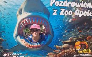 Uczniowie klas pierszych na wycieczce - ZOO Opole (3)