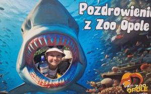 Uczniowie klas pierszych na wycieczce - ZOO Opole (2)