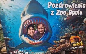 Uczniowie klas pierszych na wycieczce - ZOO Opole (5)