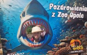 Uczniowie klas pierszych na wycieczce - ZOO Opole (4)